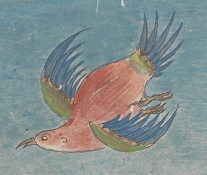 Or Tibetan 114 — détail oiseau (divinations Mo)